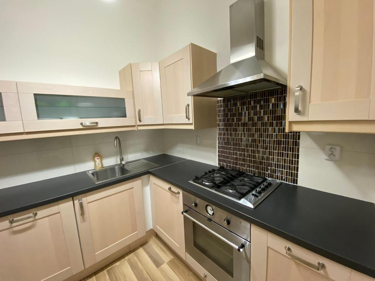 Spacious Apartment On Wenceslas Square プラハ エクステリア 写真